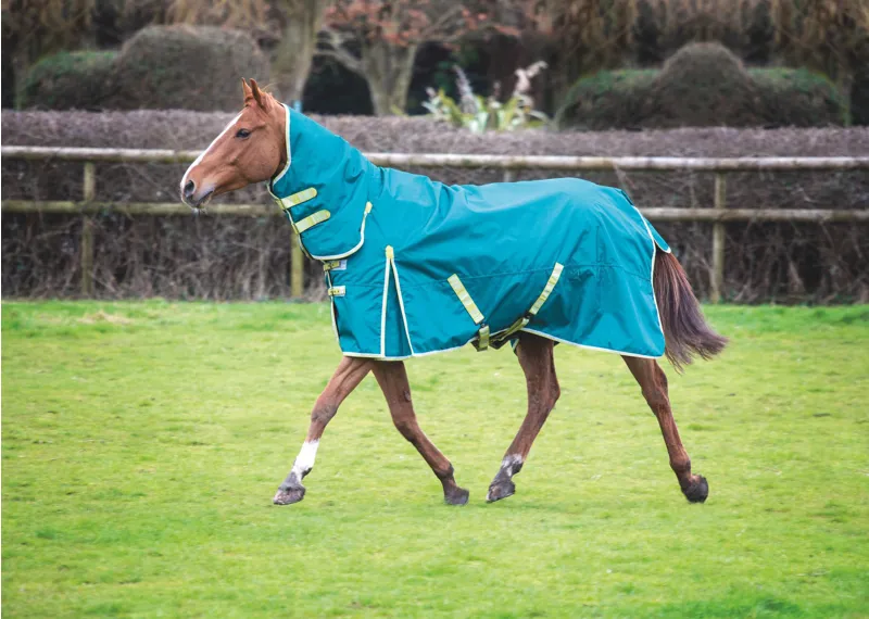 Bridleways Ontario Turnout Rug 100g Combo Green